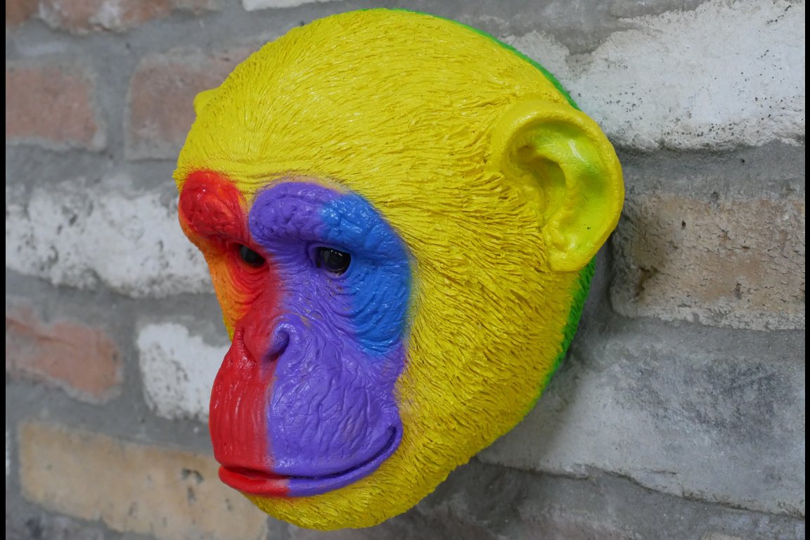 Rainbow Monkey Head