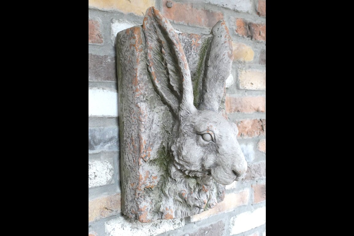 Rabbit Head