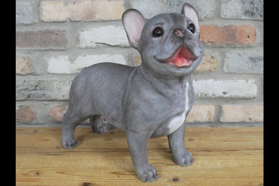 Standing Dog (Frenchie)