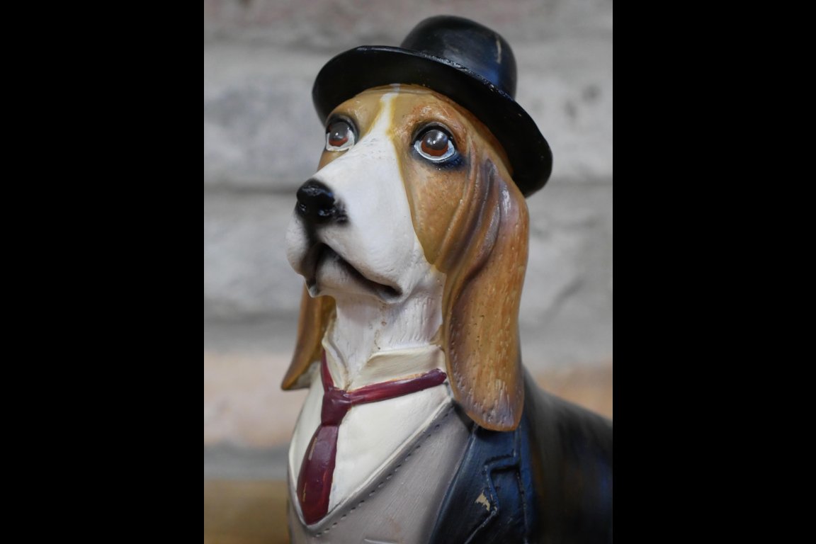 Dog In Suit