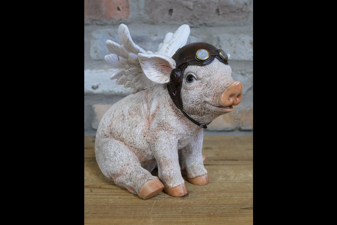 Flying Pig