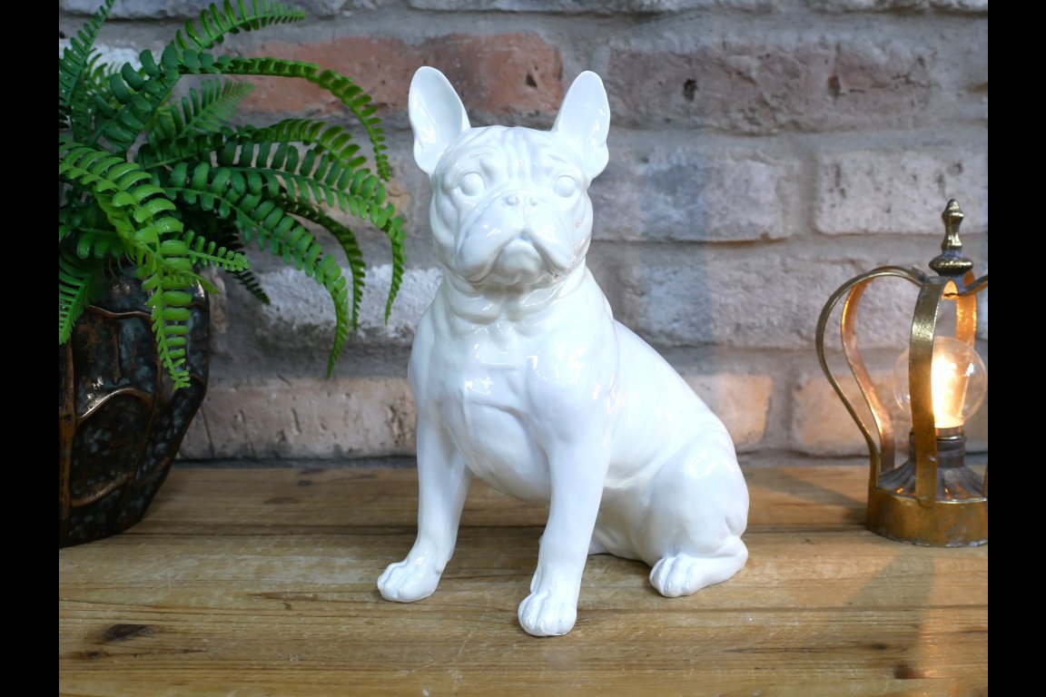 White Dog (Frenchie)