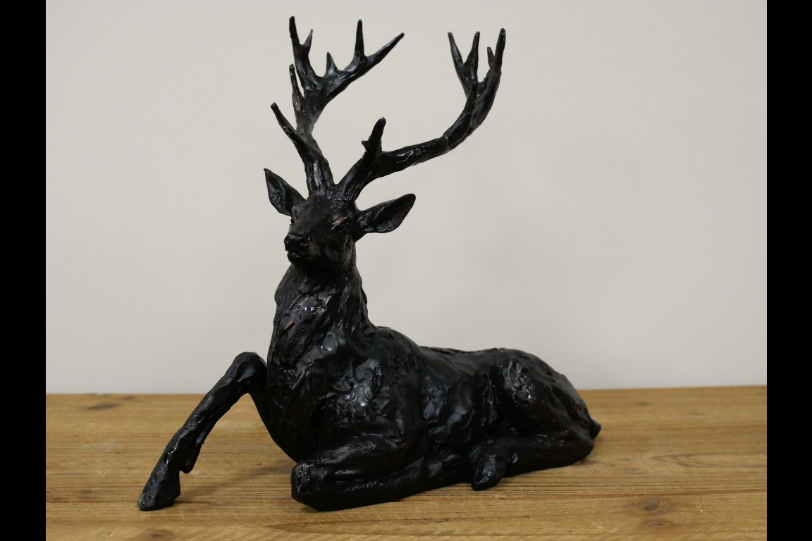 Laying Stag