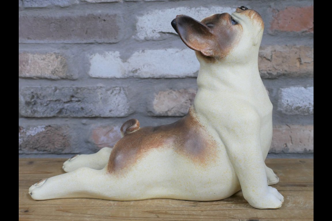 Stretching Dog