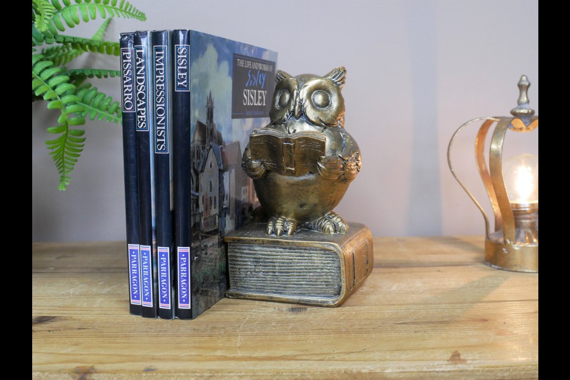 Reading Owl