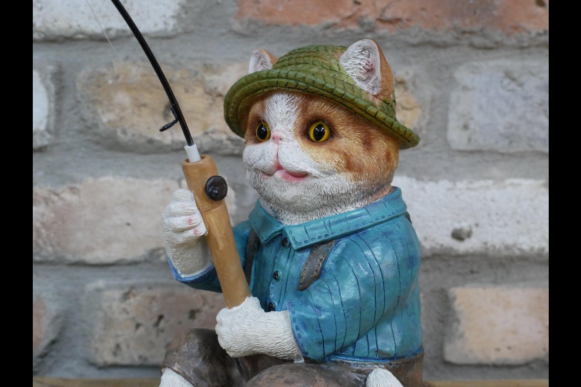 Cat Fishing