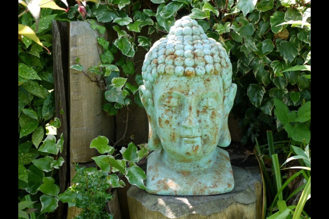 Buddha Head