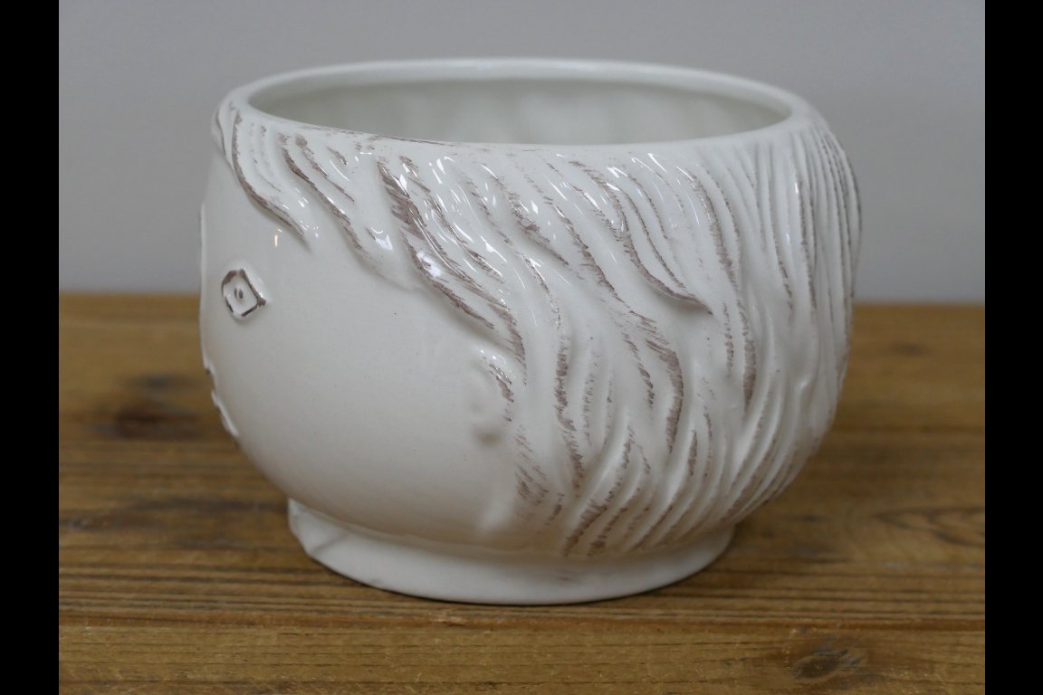 Face Vase