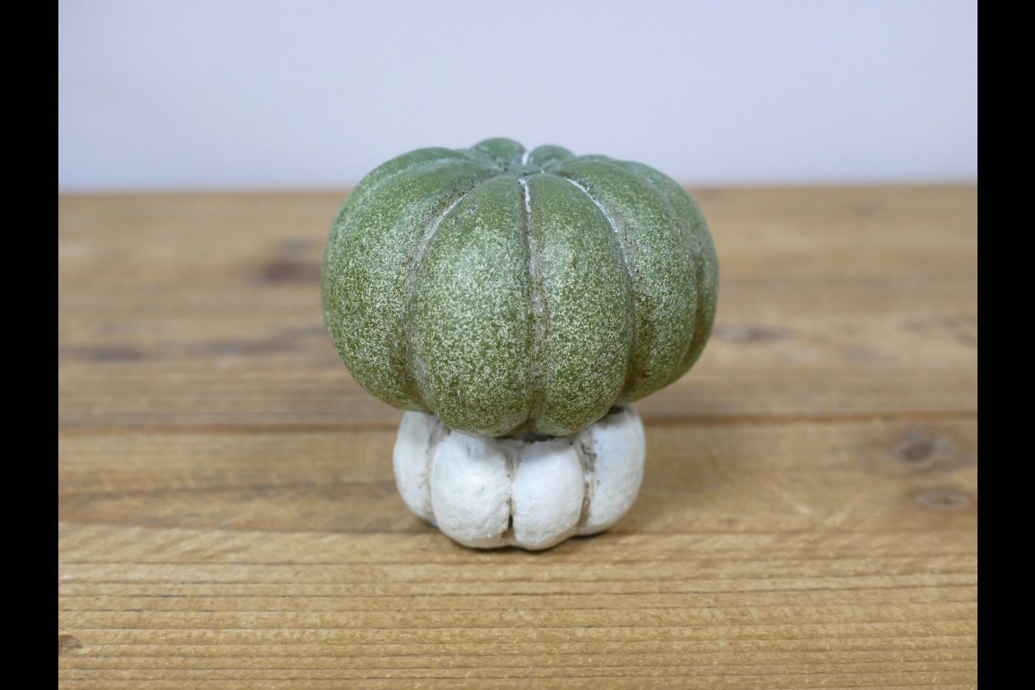 Small Pumpkin