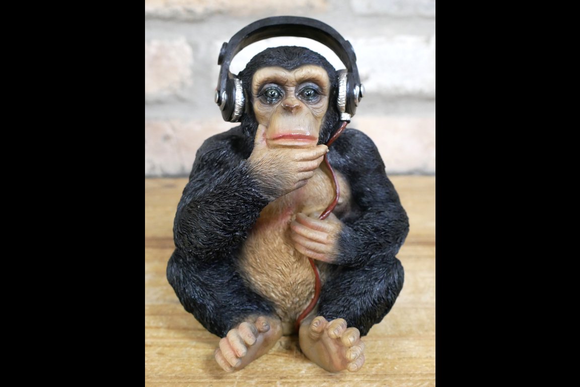 Monkey With Headphones