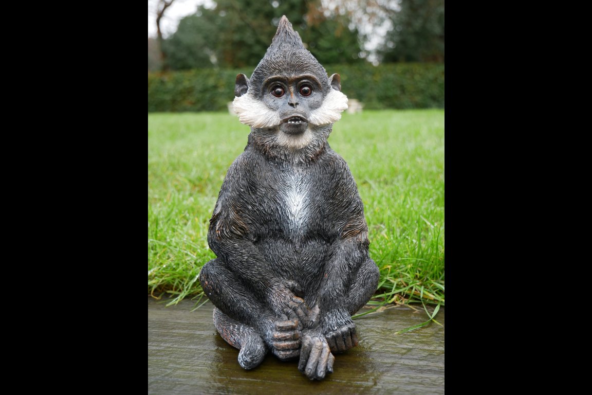 Bearded Monkey