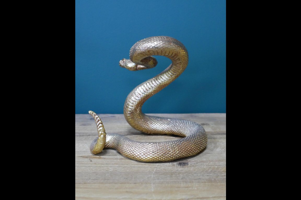 Snake