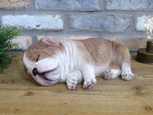 Sleeping Bulldog