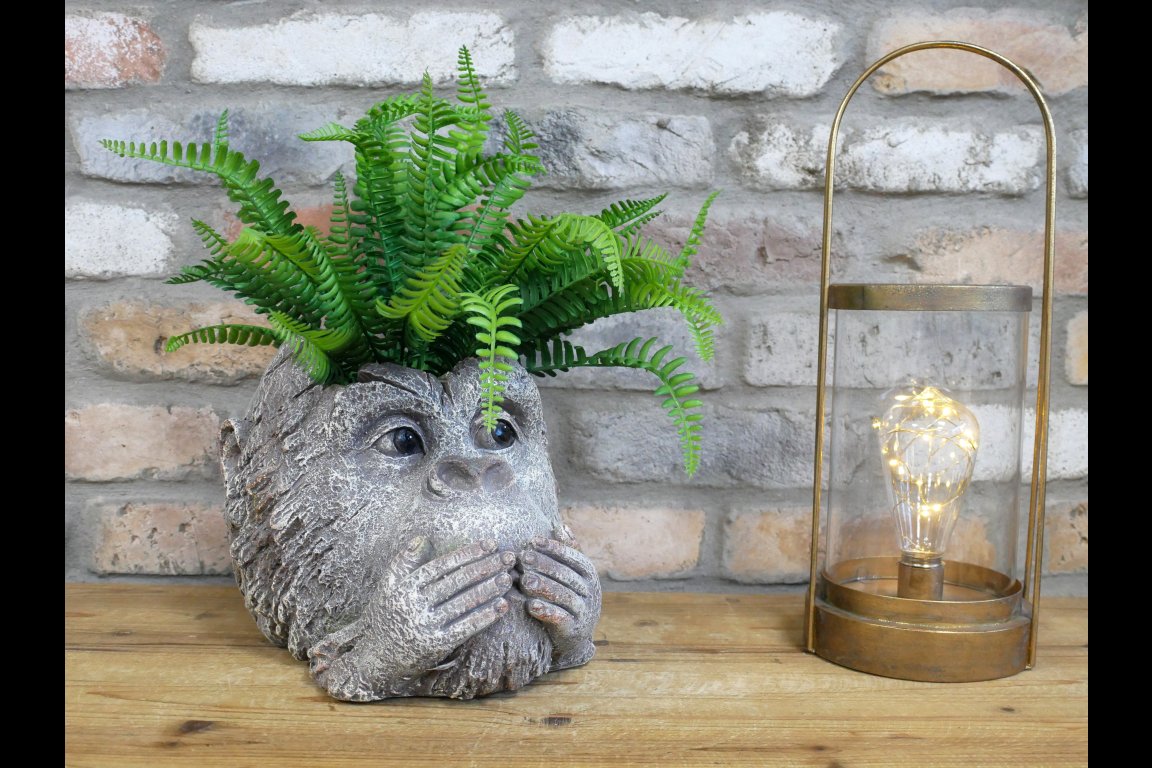 Monkey Head Planter