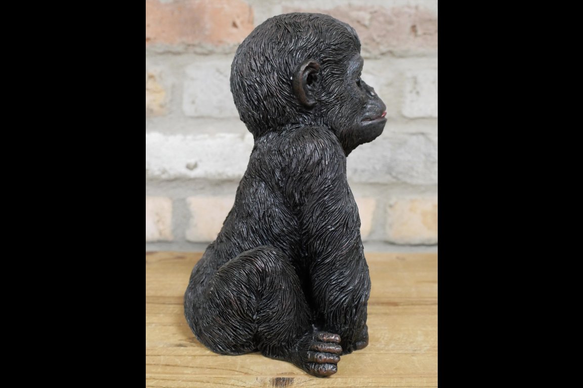 Baby Gorilla