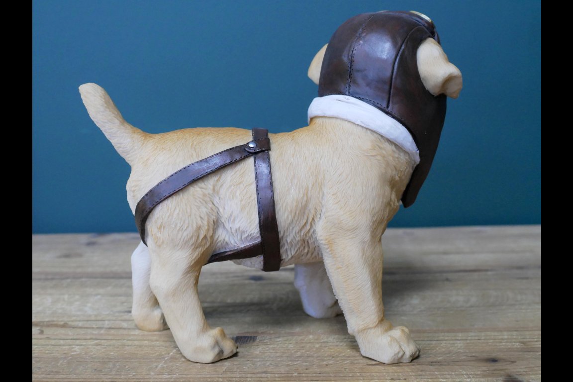 Pilot Dog