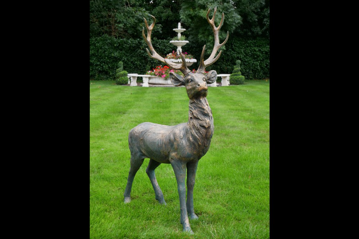Stag