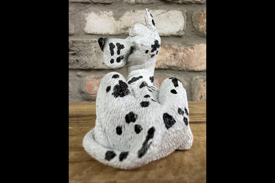 Dalmatian