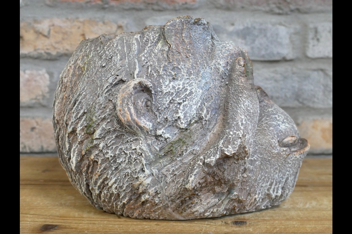 Monkey Head Planter