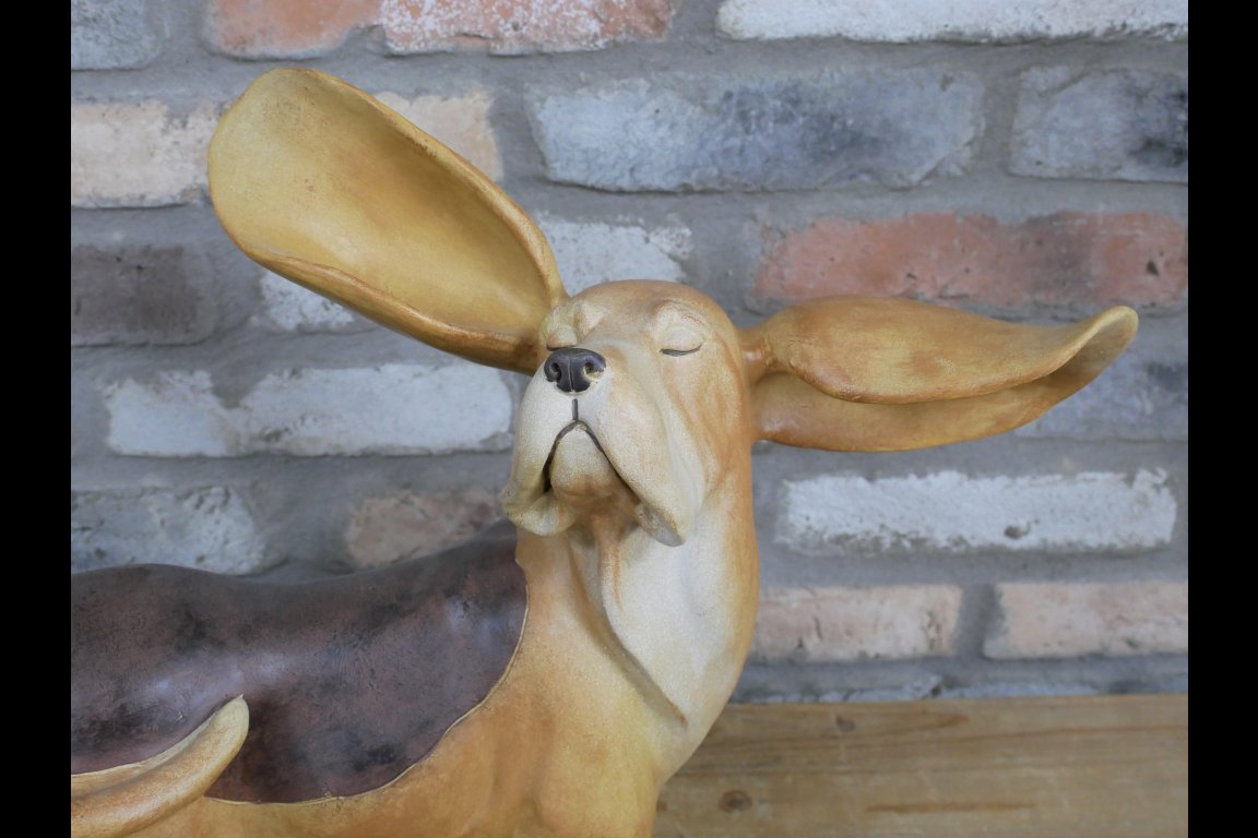 Big Ears Dog
