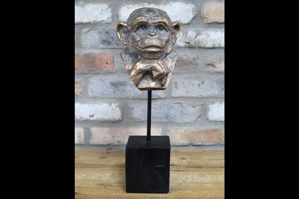 Monkey Head