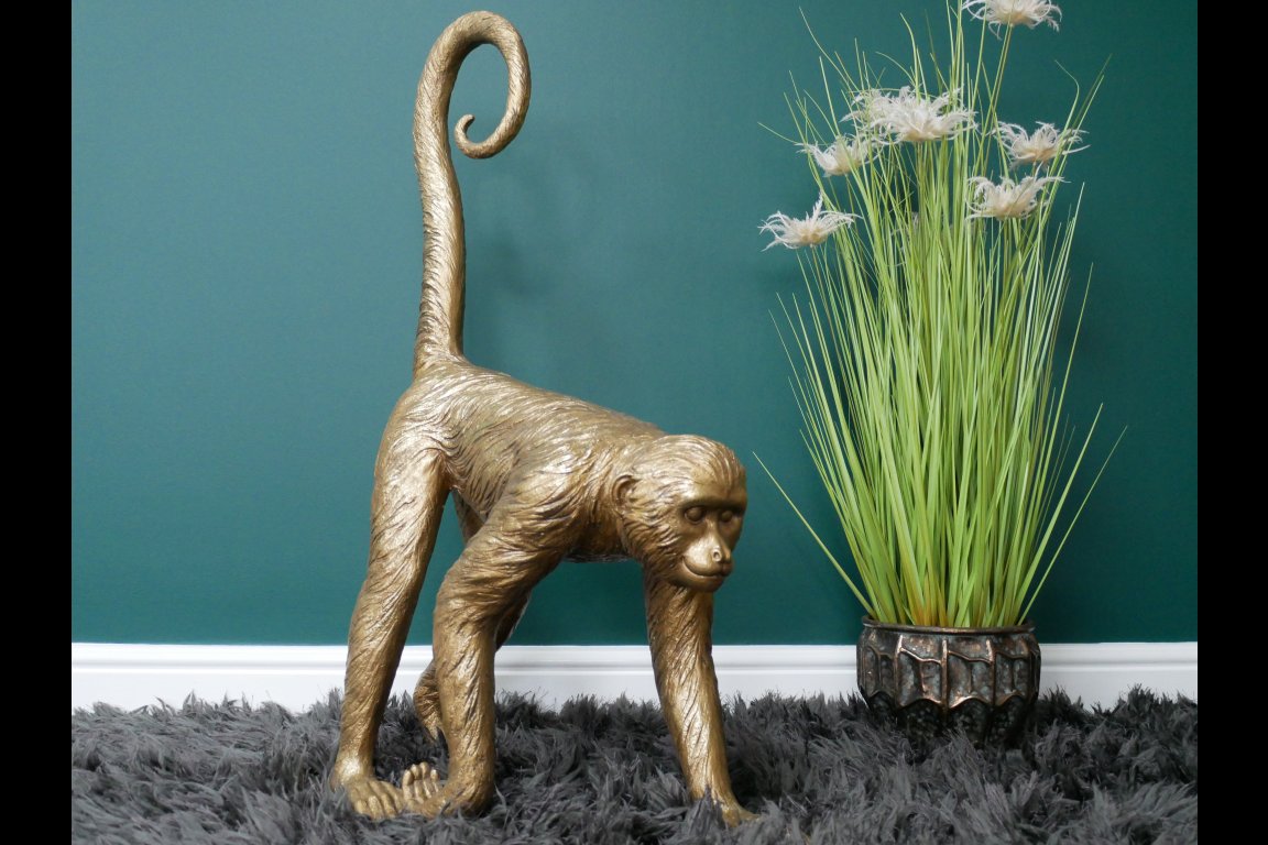 Monkey