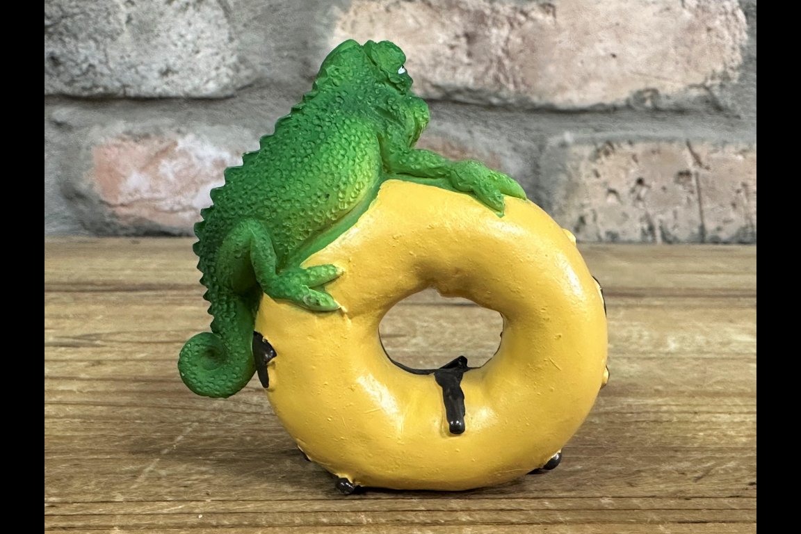 Lizard On A Doughnut