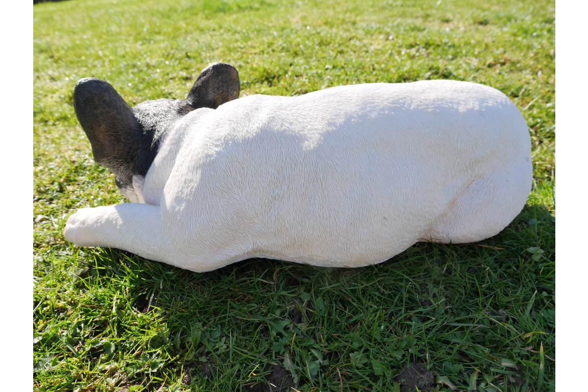 Laying Dog