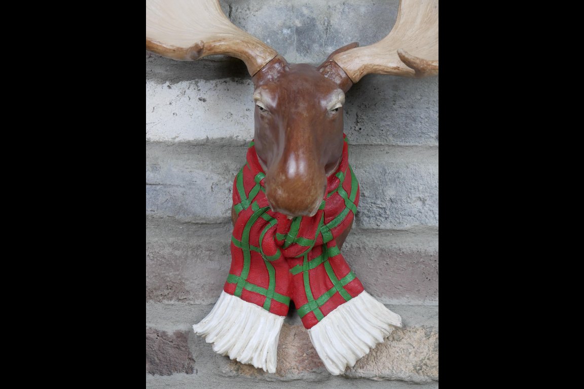Moose Head Wall Decoration