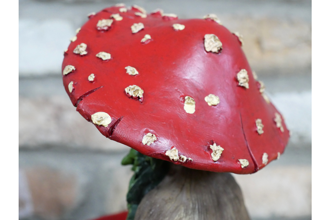 Mushroom Man