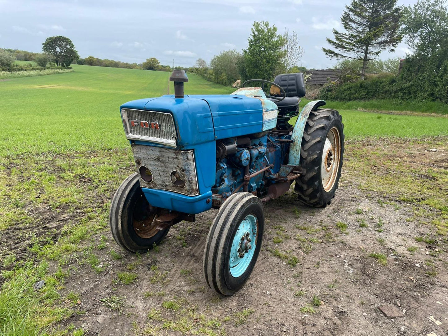 VINTAGE FORD 3000 VINYARD TRACTOR, RUNS DRIVES AND WORKS, ALL GEARS WORK