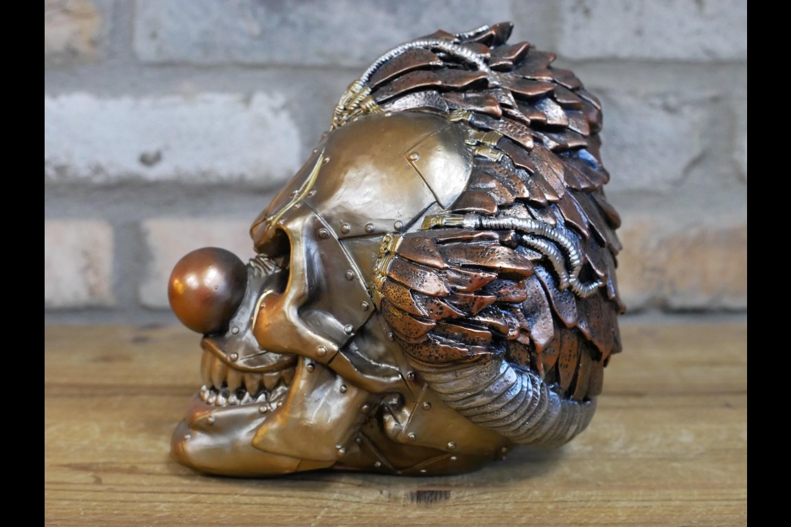 Skull