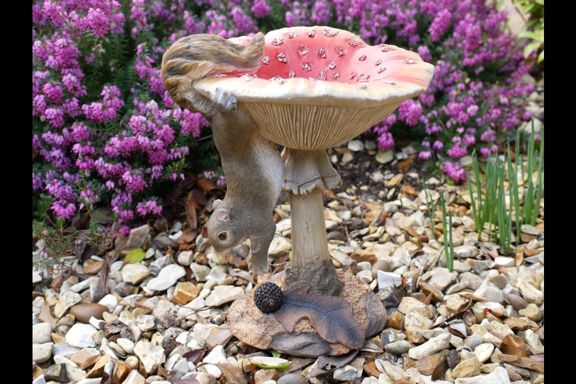 Squirrel On A Mushroom