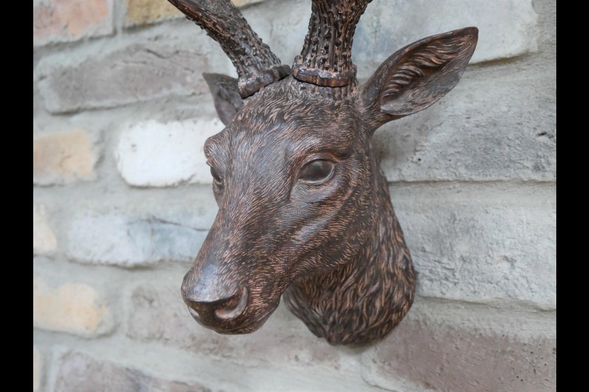 Stag Head