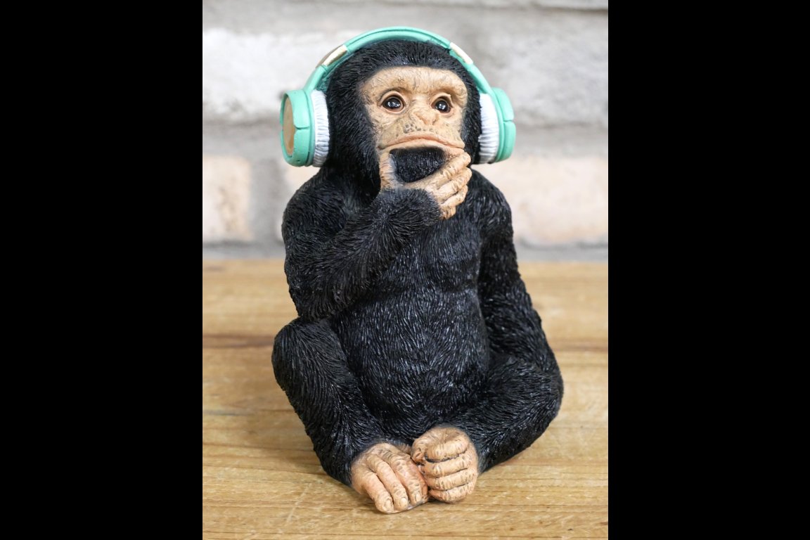 Monkey With Headphones