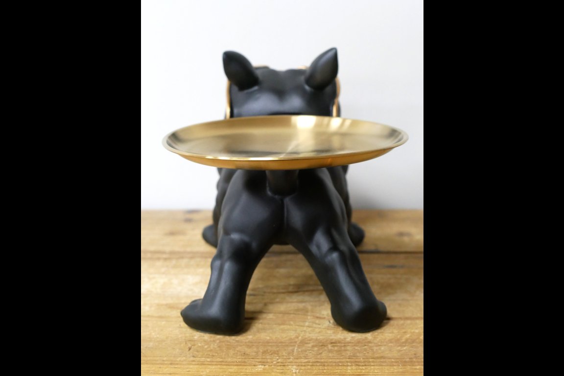 Big Mouth Dog With Tray