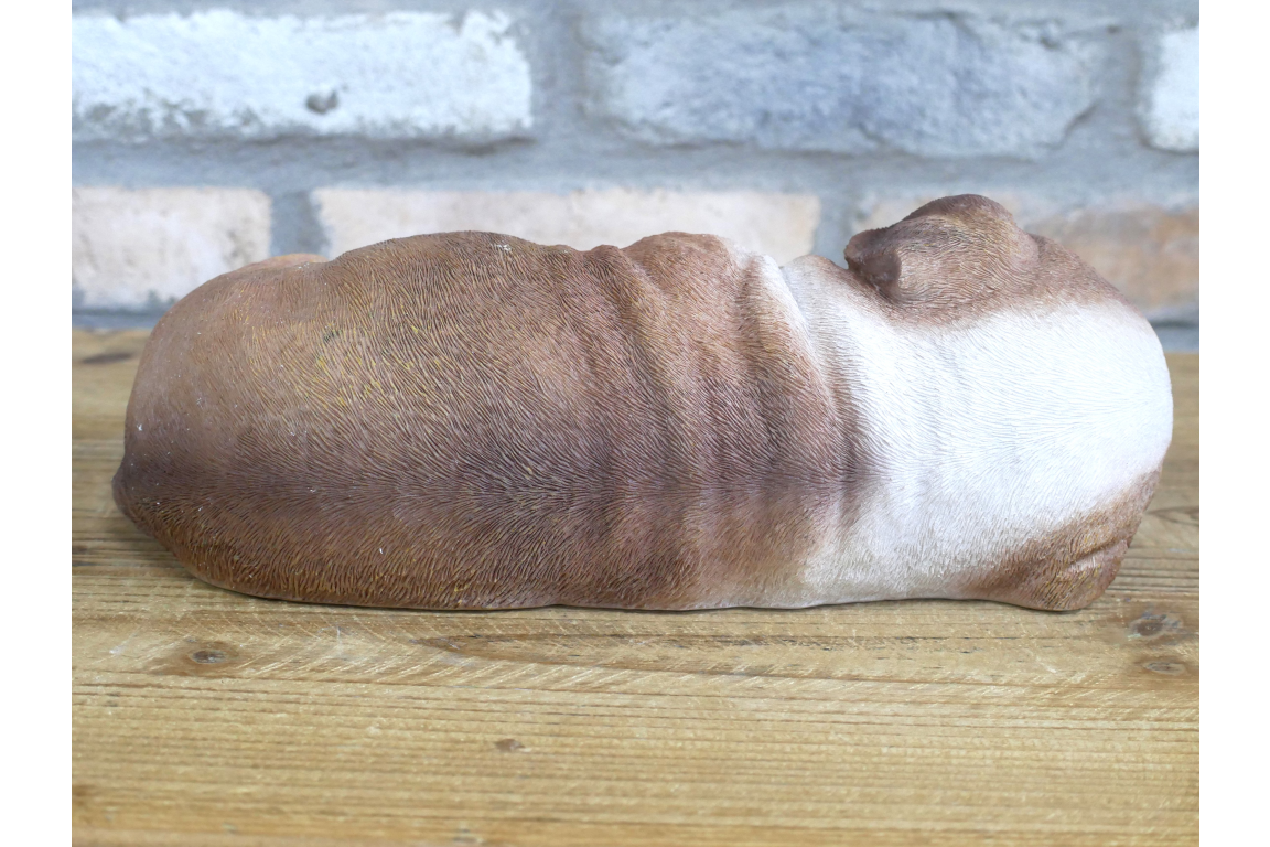 Sleeping Bulldog