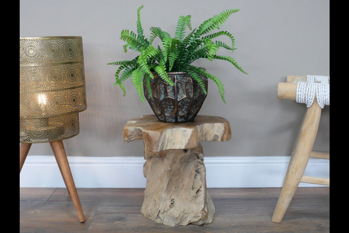 Root Side / Plant Stand