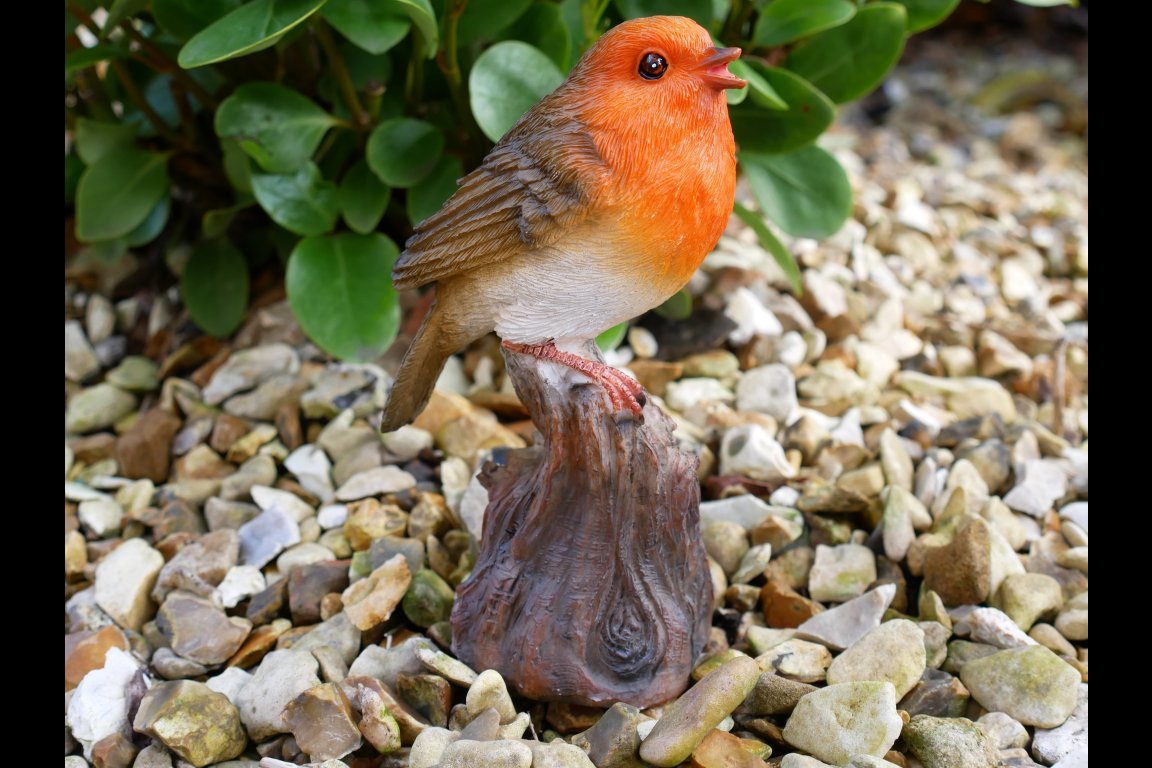 Tweeting Bird