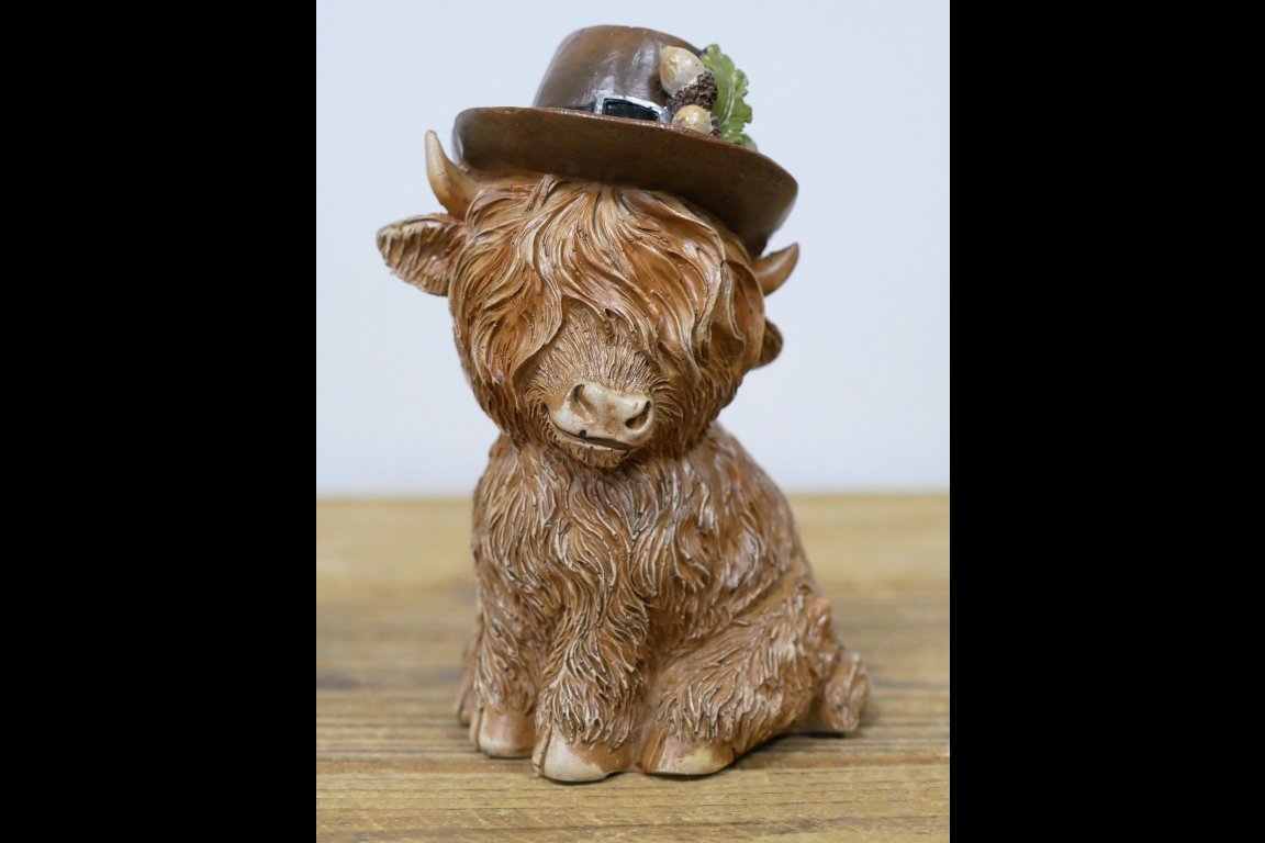 Highland Cow With A Hat
