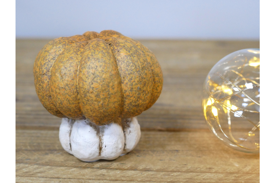 Small Pumpkin
