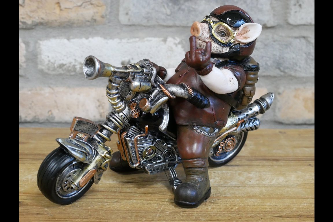 Pig On Motorbike