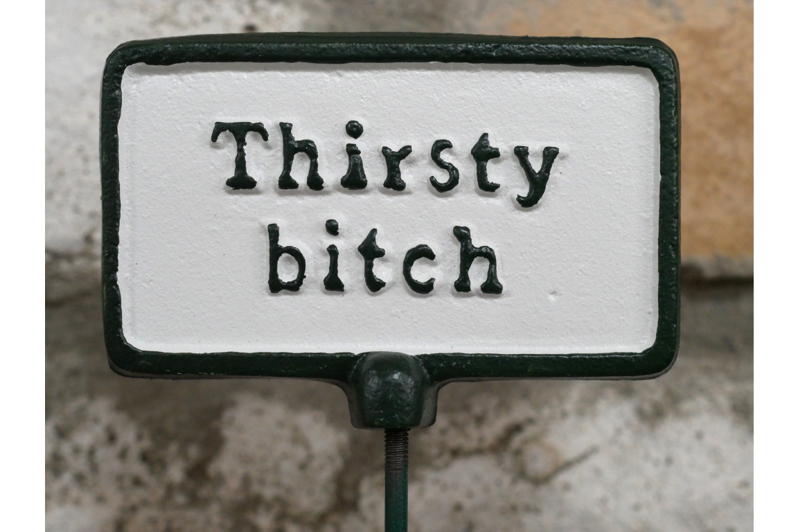 Plant Sign - Thirsty Bitch