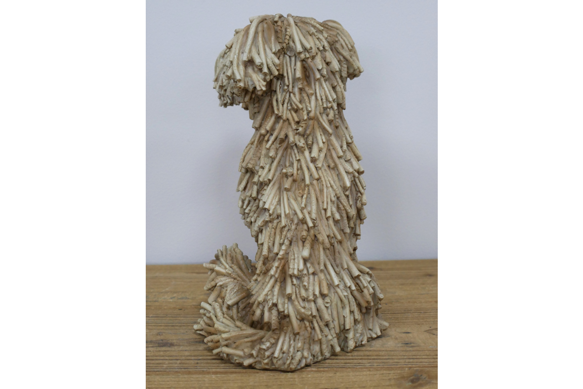 Sitting Shaggy Dog