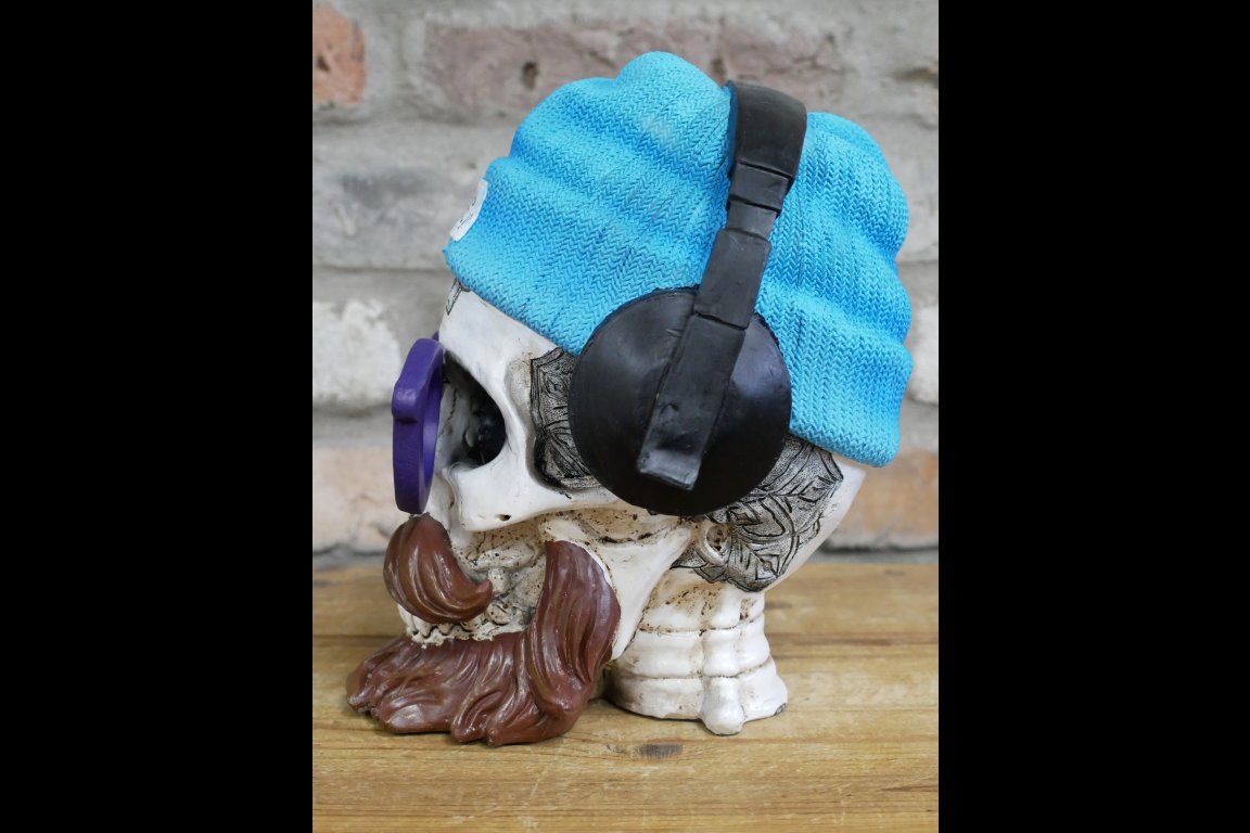 Skull With Headphones