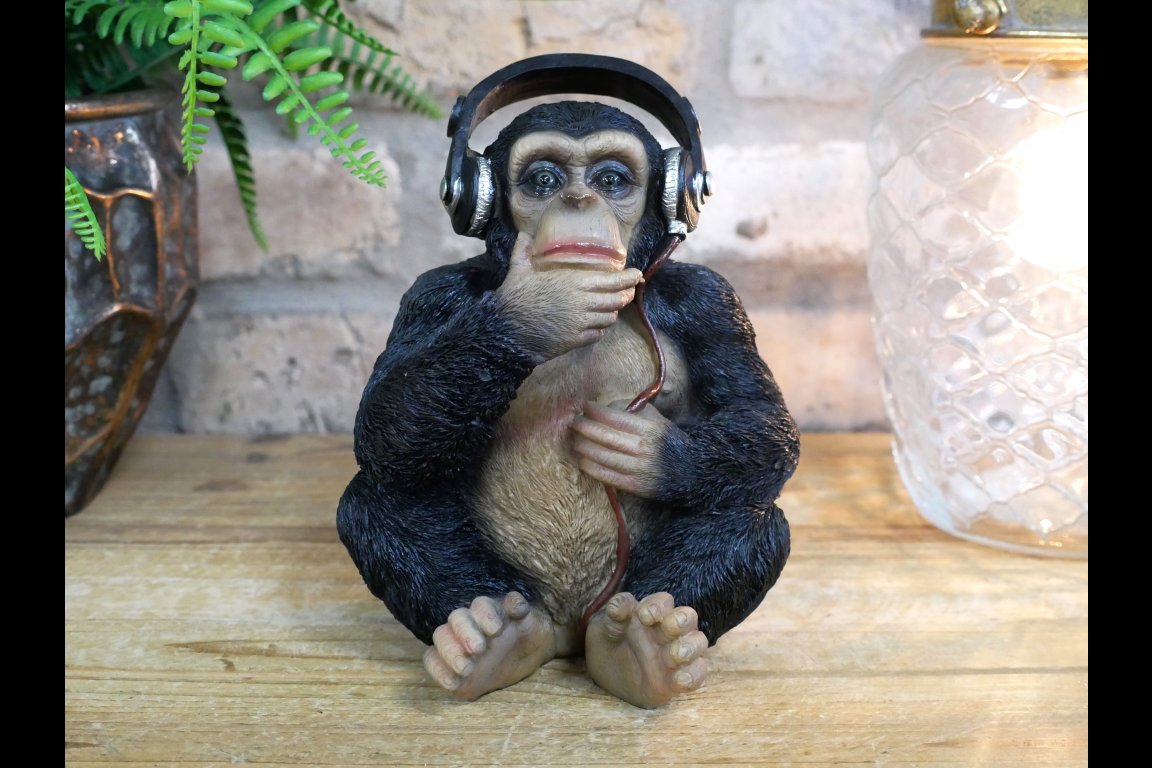 Monkey With Headphones