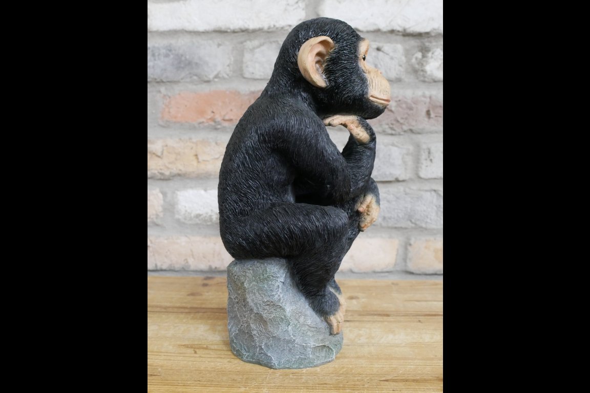 Monkey Thinking