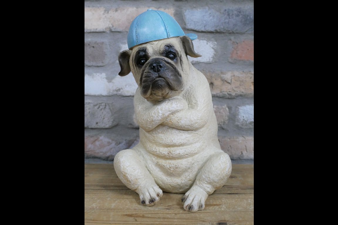 Arms Crossed Bulldog