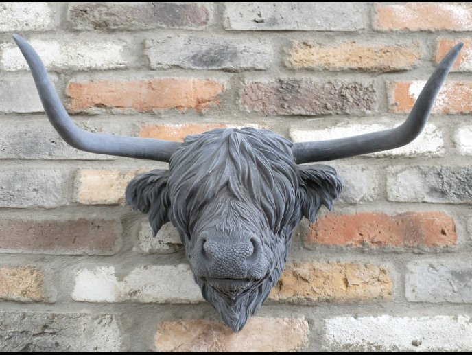 Cow Head