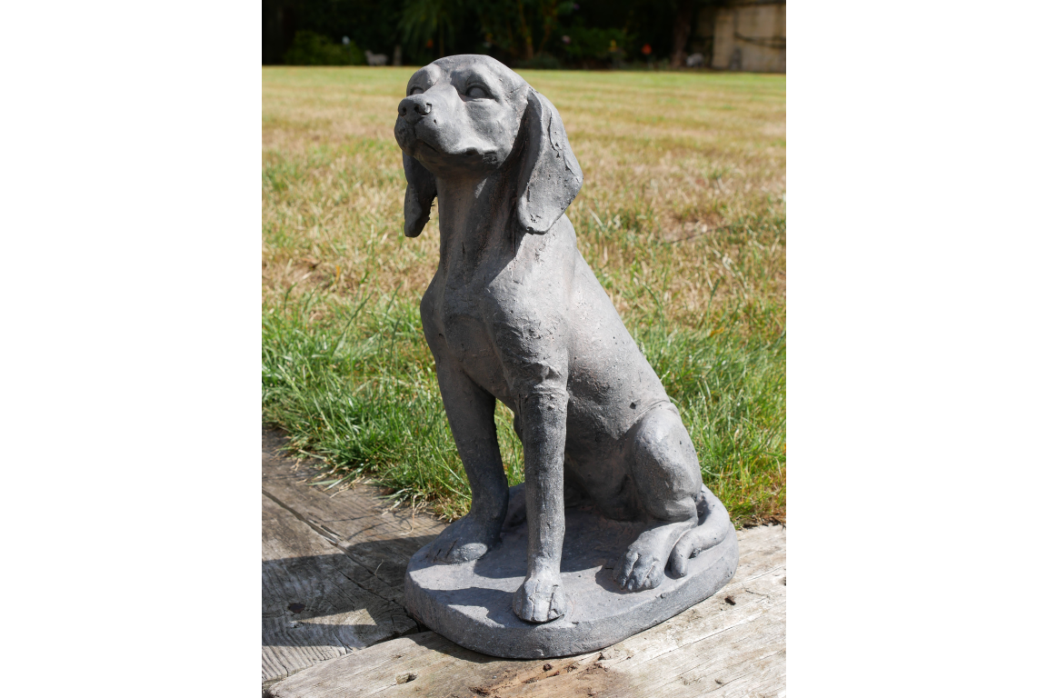 Sitting Dog